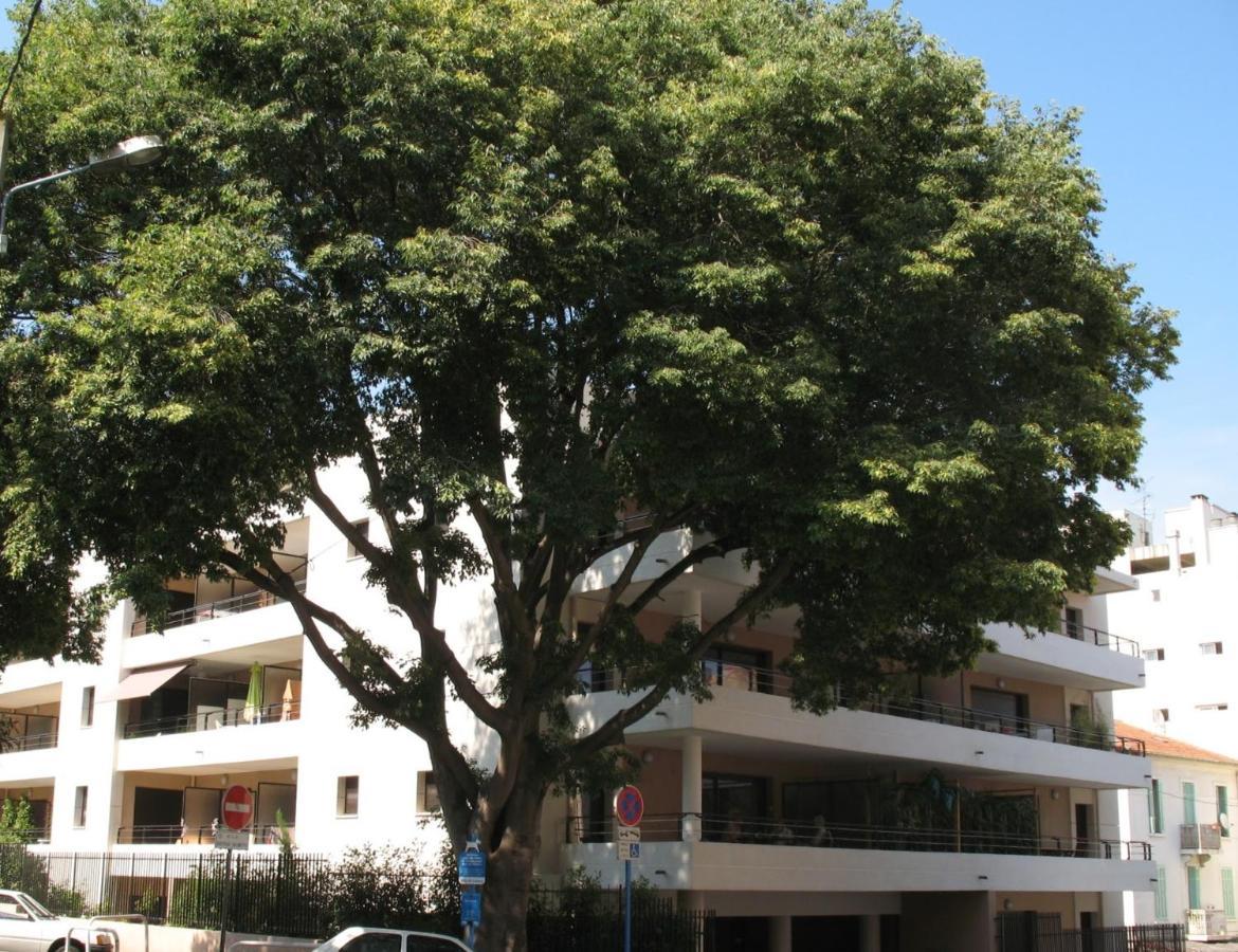 Spacious Luxury Apt, 12 Min Walk To Croisette Beach And Conf Centre Cannes Zewnętrze zdjęcie